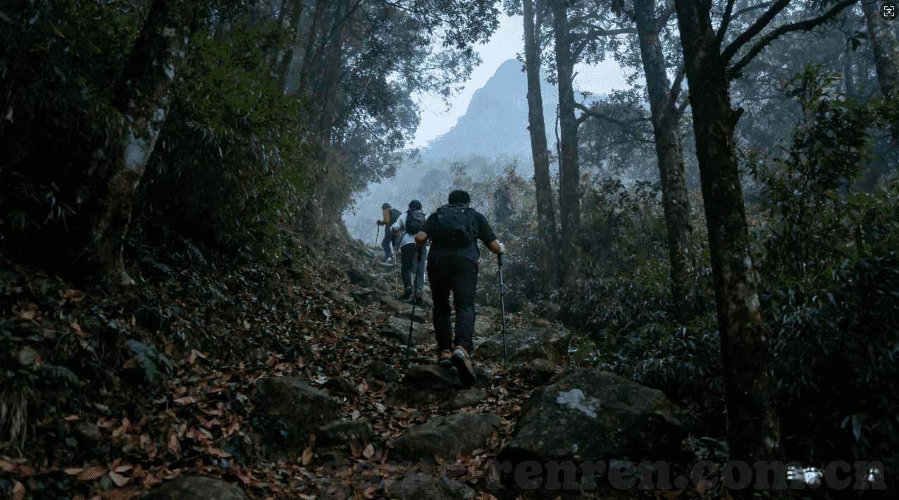 世界杯福利彩票-世界杯福利彩票，激情与希望的碰撞